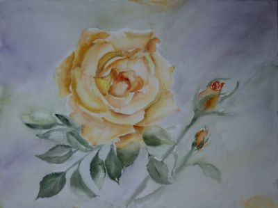 "Gelbe Rose"
Aquarell  50 x 60 cm  mit Passepartout
