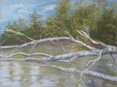 "Am Kibitzsee"
Pastell 50 x 60 cm mit Passepartout

