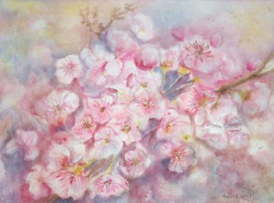 "japanische Kirschblüten"
Aquarell 40 x 50 cm mit Passepartout
